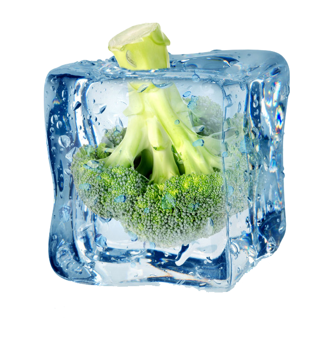 Tiefkühlprodukte