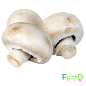 Pilz